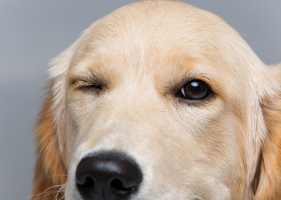 Job image of 6899 at Crystal Core Techno-0