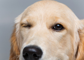 クリスタルコアテクノの6899の求人画像