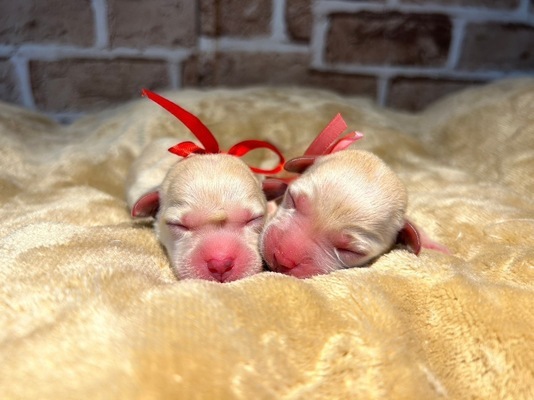 Imagem de emprego de 7294 em 株式会社派遣プラン-0