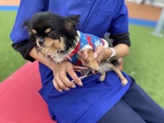 Imagen de trabajo 7358 en yoshihama update-0