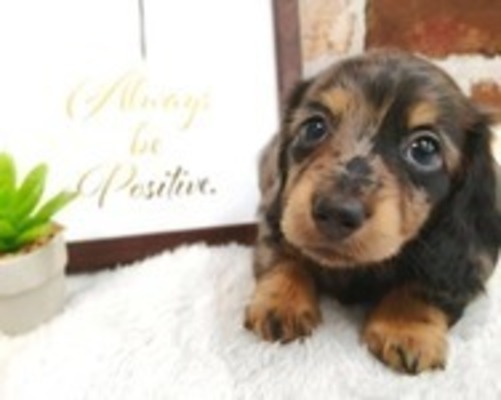 Imagem de emprego de 7359 em yoshihama update-0